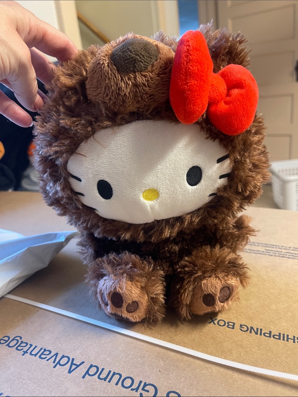 Hello Kitty Plush 125th anniversary